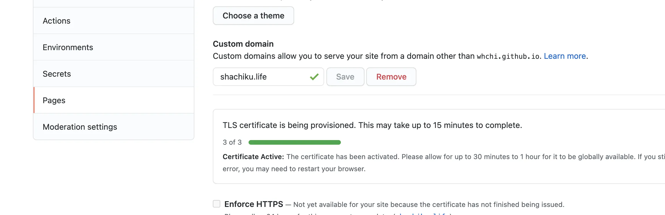 於 github 介面 domain